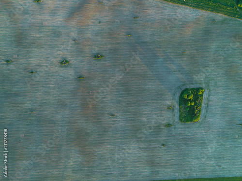 beautiful geometry of fields green and brown photo from height