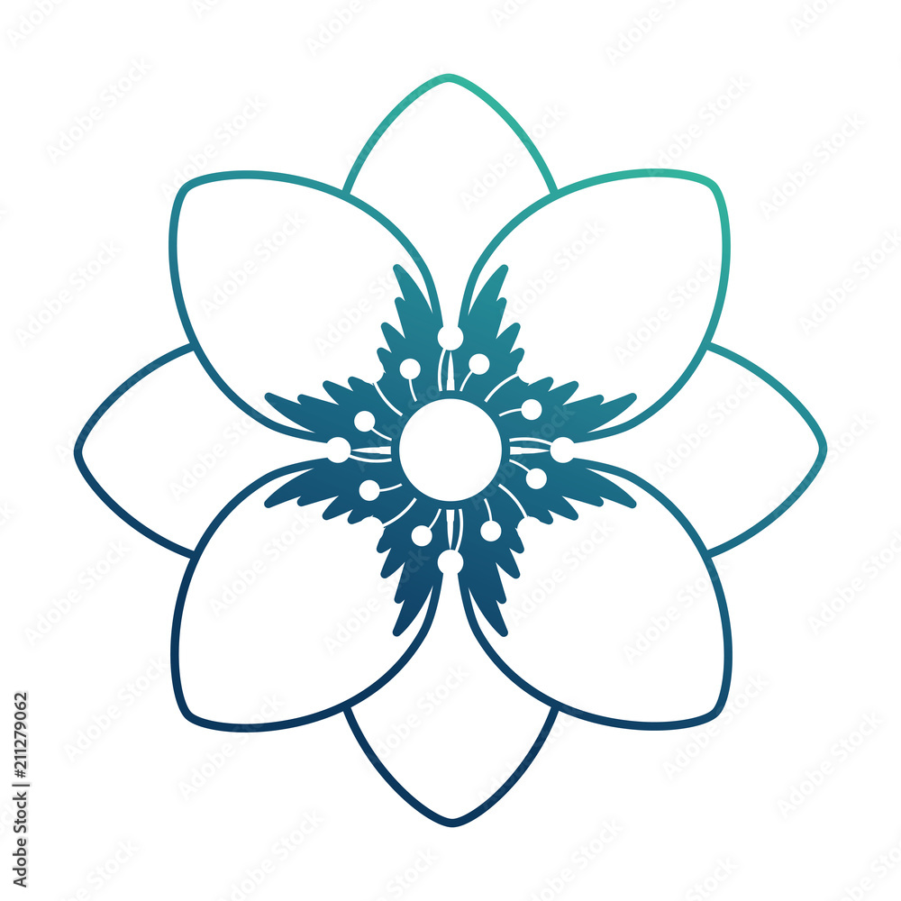 beautiful flower decorative icon vector illustration design beautiful flower decorative icon vector illustration design
