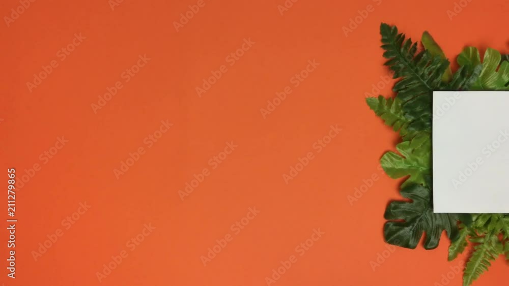 Sobre fondo naranja aparece un cuadro blanco rodeado de hojas.