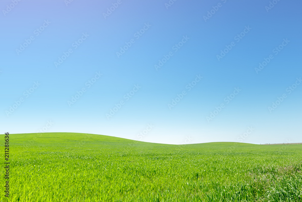 beautiful Green field beautiful Green field