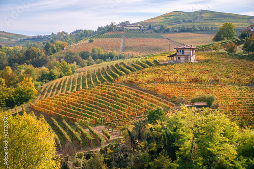 Langhe e Roero vineyards autumn landscape, Barolo, Dolcetto, Barcaresco wine. Cuneo province, Piedmont, Italy. photo