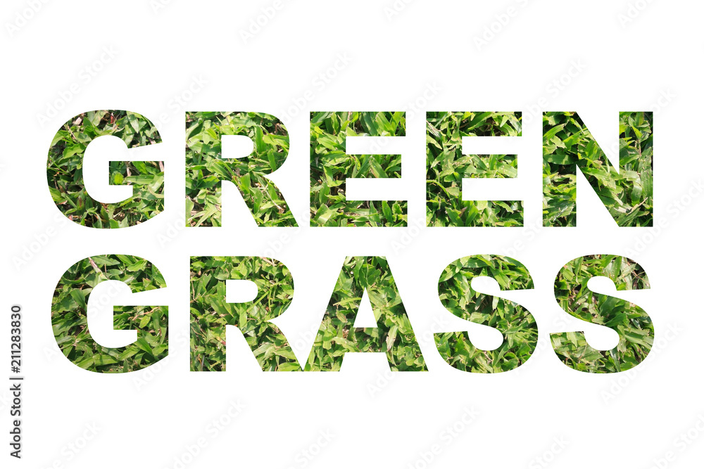 Fototapeta premium Green grass word.
