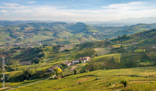 Langhe e Roero vineyards hills landscape, Barolo, Dolcetto, Barcaresco wine. Cuneo province,Piedmont, Italy. photo