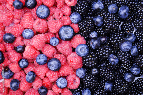 Fresh organic mixed berries  blueberry  raspberry   blackberry in harvest pile  white background. Clean eating concept. Healthy vegan snack  raw food diet. Close up  copy space  top view  flat lay