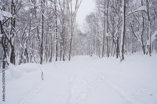 雪道