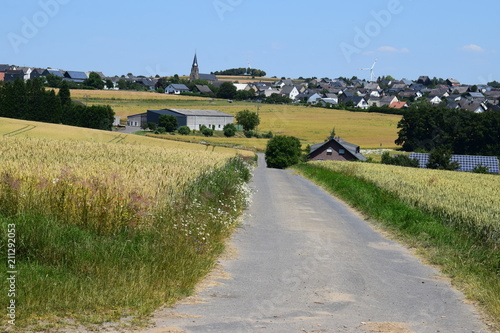 FEldweg bei Kehrig, Eifel photo