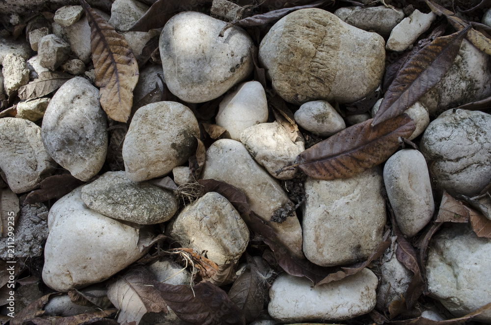 stones leaf background