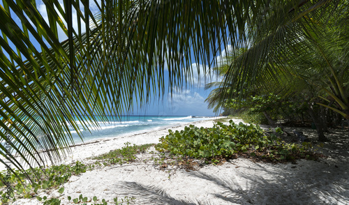 Barbados   beach   sand   sea