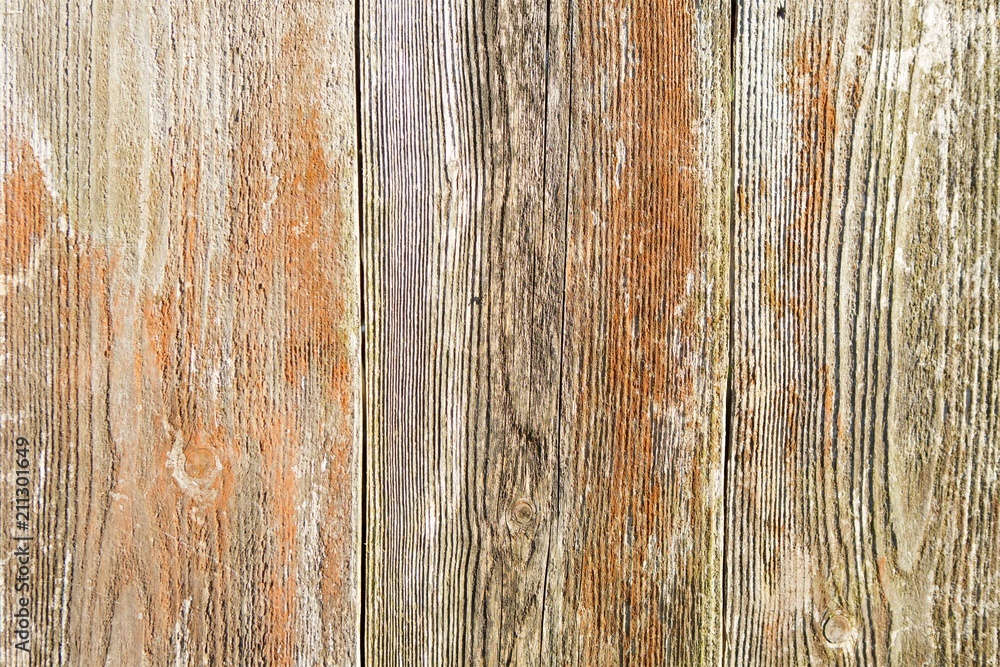 Obraz premium Old grunge wood texture