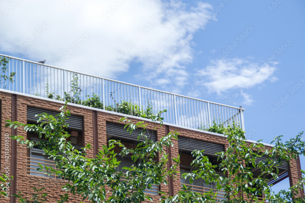 Obraz premium 屋上テラス