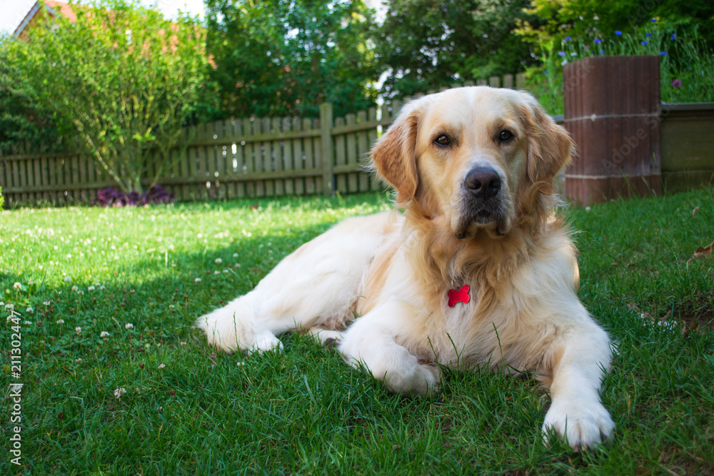 Max im Garten Max im Garten