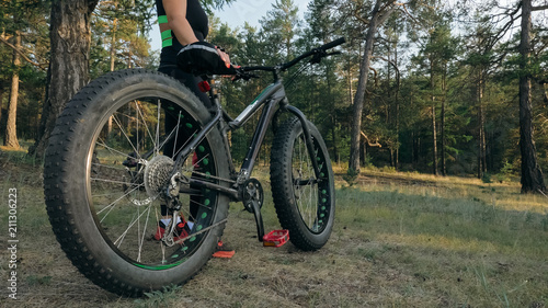 Fat bike also called fatbike or fat-tire bike in summer riding in the forest. The woman rides a bicycle among trees and stumps. He overcomes some obstacles on a bumpy road. © ivandanru