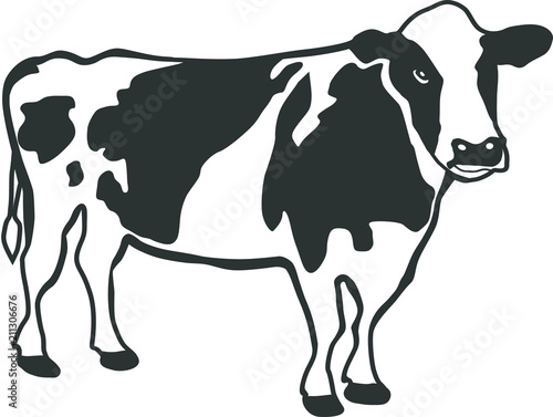 Holstein Cow