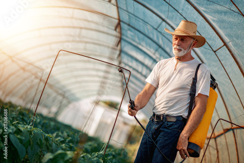 Fotografija Senior man in greenhouse spraying plants