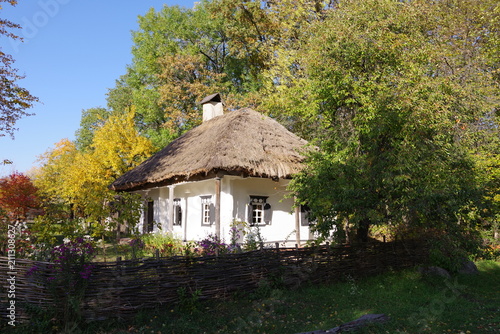 house with white walls and thatched roof