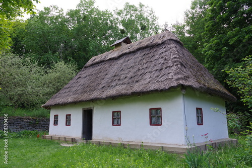wooden house with white walls near the forest