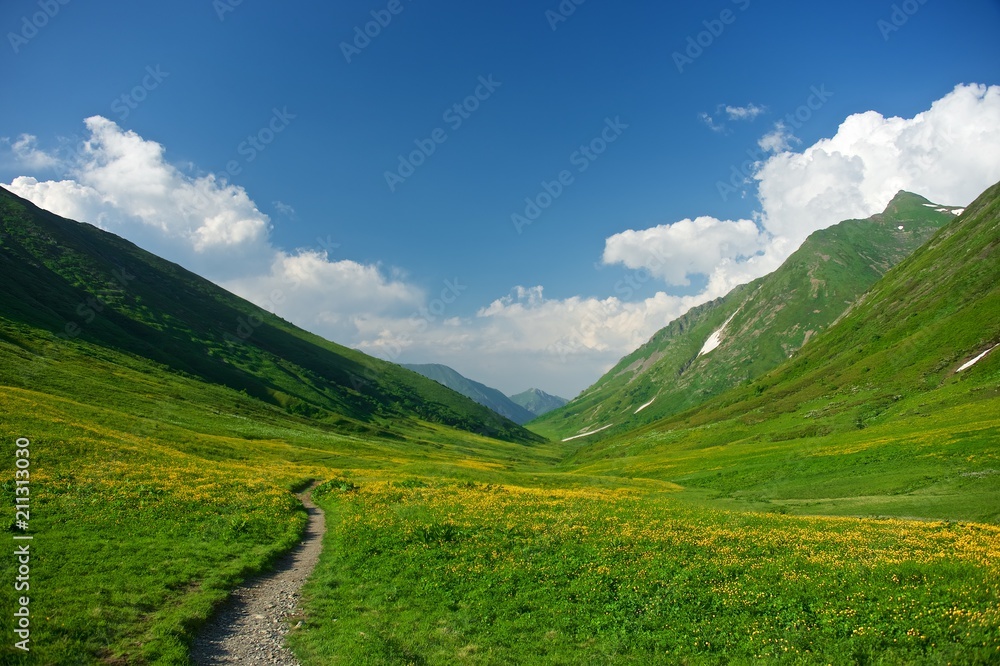 Obraz premium Green slope of the high big mountain. Alpine meadows in the Caucasus Mountains. Flowers of all colors and grasses. Beautiful blue sky and clouds. Impressions from mountain tourism.