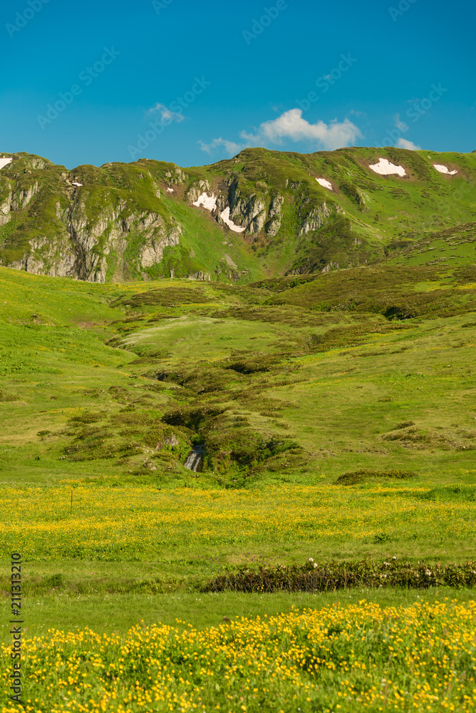 Obraz premium Green slope of the high big mountain. Alpine meadows in the Caucasus Mountains. Flowers of all colors and grasses. Beautiful blue sky and clouds. Impressions from mountain tourism.