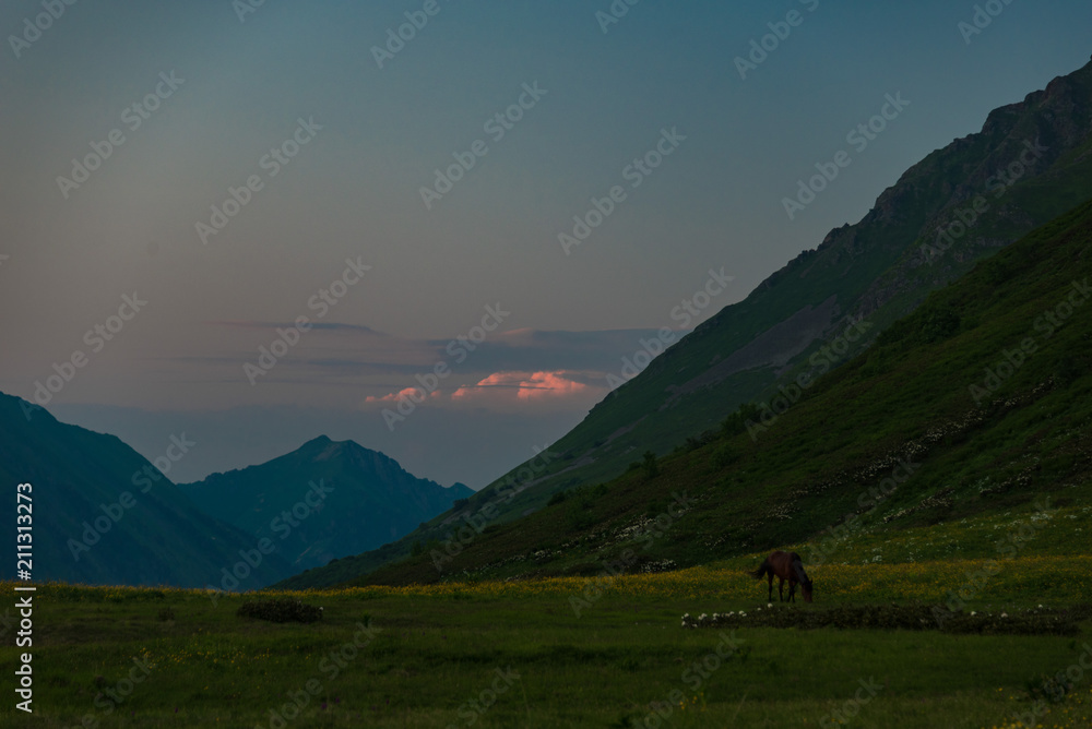 A young horse grazes in the evening on a mountain meadow high in the mountains. Juicy green grass. A wide valley among the rocky peaks. Clouds illuminated by the sun at sunset.