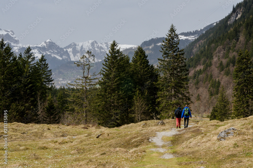 A couple of hikers wandering through high mountain meadow valley