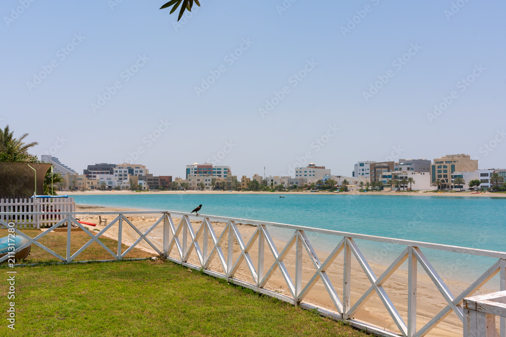 Fototapeta premium Bird look sea of Bahrain