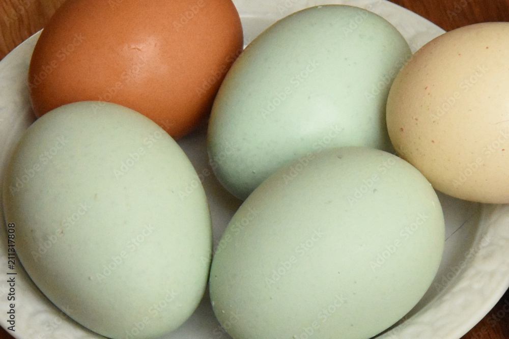 eggs of chicken, green, brown and beige, color natural eggs of chicken, green, brown and beige, color natural