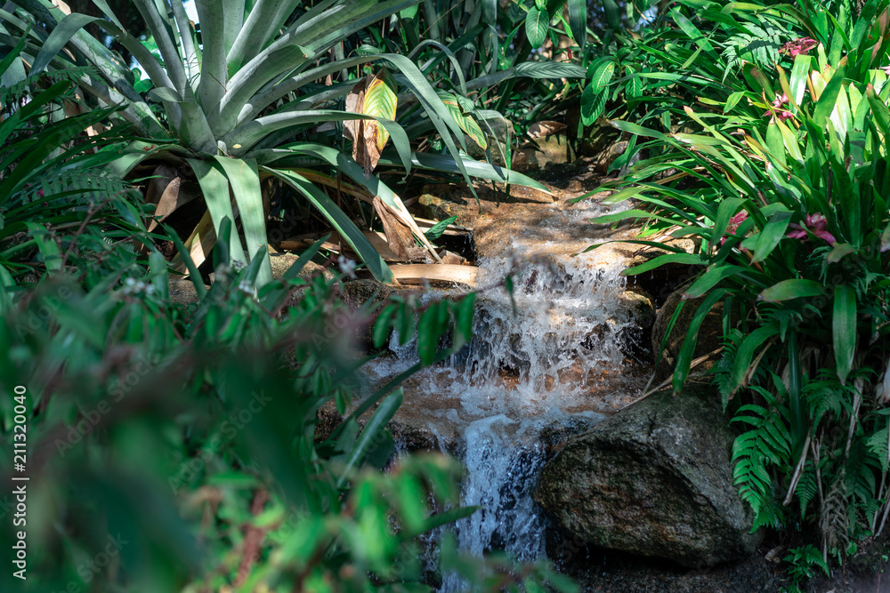 Fototapeta premium Beautiful water stream waterfall garden
