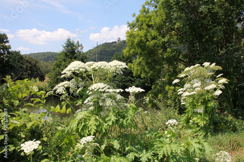 Obraz na plátně Burgruine Hohensyburg an der Ruhr