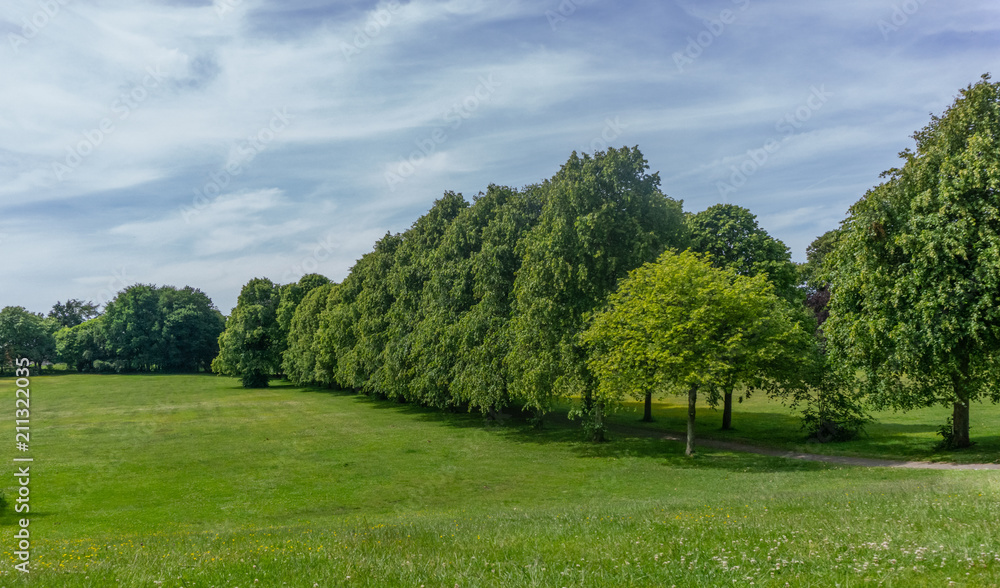 Lawns & Trees of a Scottish Park in Summer