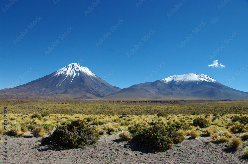 Volcans chiliens