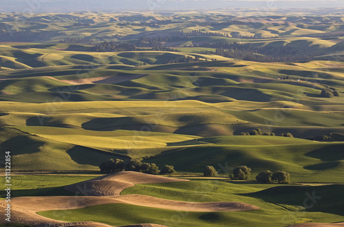 Rolling hills in Palouse