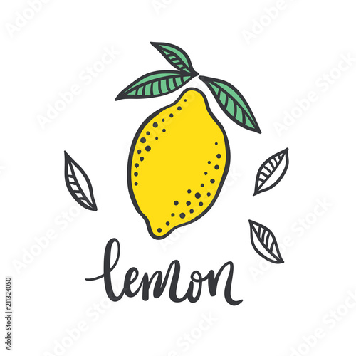 Hand drawn lemon with green leaves on white background. Vector illustration