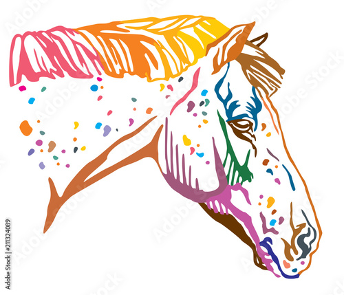 Colorful decorative portrait of Appaloosa horse vector illustration