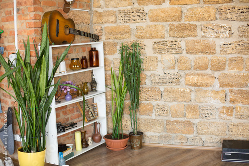 the background texture is Sandstone. Sandstone wall. brick Sandstone. shell rock brick wall. potted flowers on the floor. bookshelf with little things. interior conaty. guitar on the shelf photo