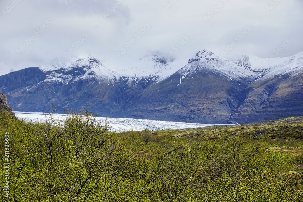 Fototapeta premium Park Narodowy Skaftafell, Islandia