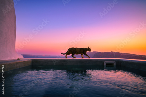 Sunset in Santorini viewed from the pool, Greece  © Pawel Pajor