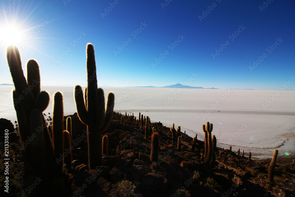 Wüste Bolivien Uyuni Salzlagune Salzsee Tourismus Reisen Work and Travel Agentur Wüste Bolivien Uyuni Salzlagune Salzsee Tourismus Reisen Work and Travel Agentur