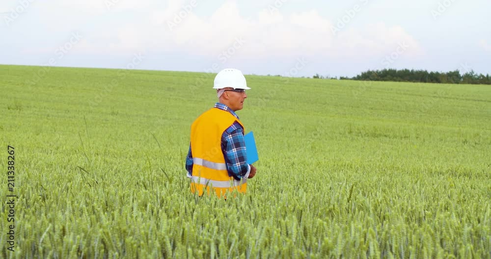 Engineer Analyzing Checklist On Clipboard Amidst Crops At Farm Engineer Analyzing Checklist On Clipboard Amidst Crops At Farm