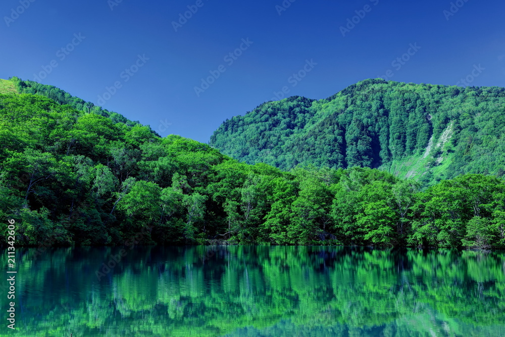 初夏の丸池 初夏の丸池