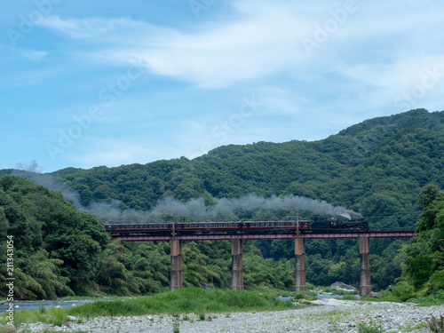 SLパレオエクスプレス