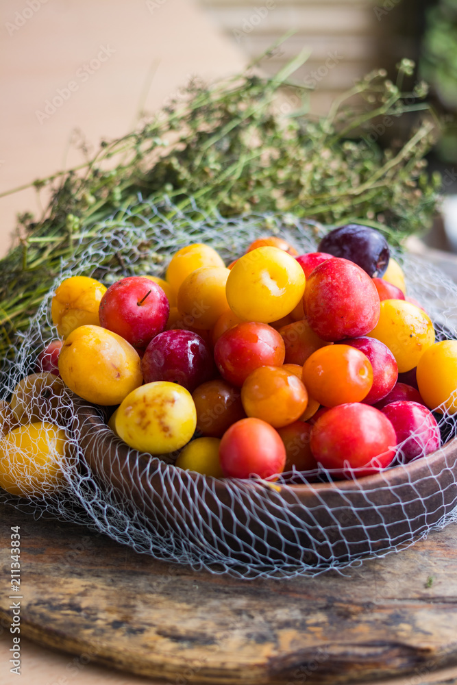 Colorful cherry plums. Yellow, red berries known as myrobalan plum. Raw vegan vegetarian sweet dessert for breakfast or lunch. Organic harvest product from permaculture farm Colorful cherry plums. Yellow, red berries known as myrobalan plum. Raw vegan vegetarian sweet dessert for breakfast or lunch. Organic harvest product from permaculture farm