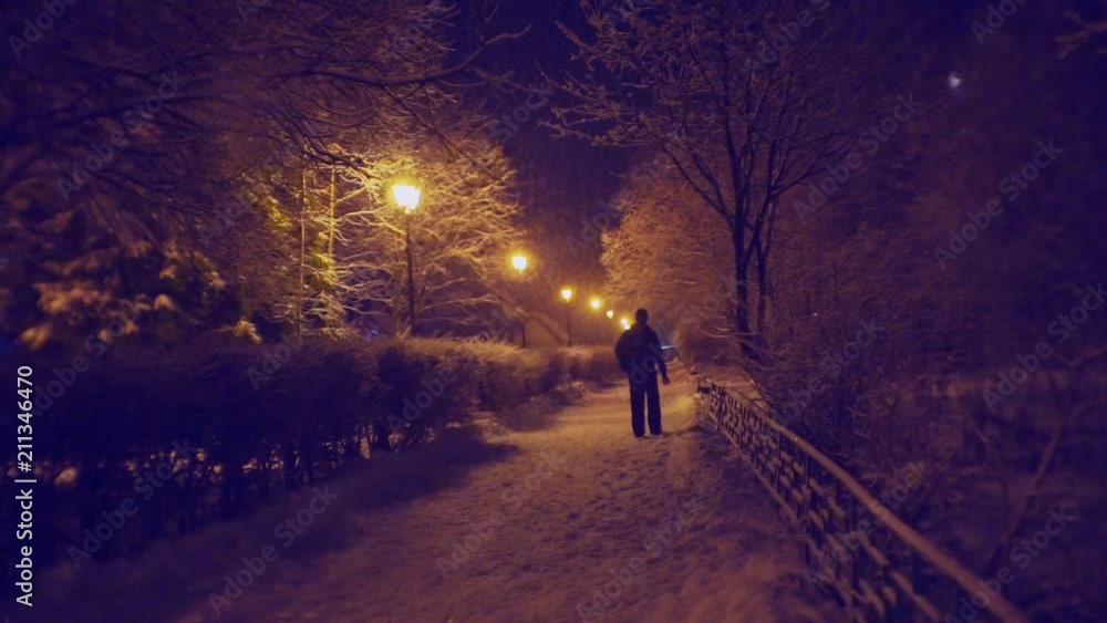 beautiful alley, illuminated by lanterns on a winter night during a snowfall beautiful alley, illuminated by lanterns on a winter night during a snowfall