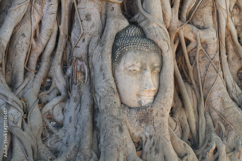 close-up ruined Buddha head statue trapped between Tree roots at historical park, travel destination at Ayuthaya provice, Thailand, home decoration backgrounds