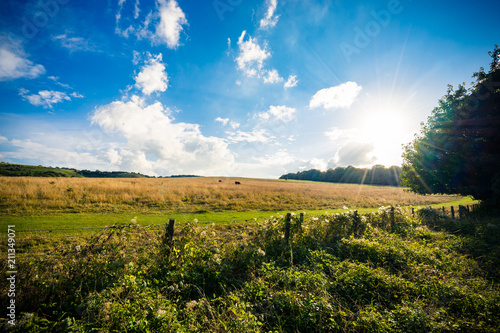 Meadow with beautiful sky and sun flare