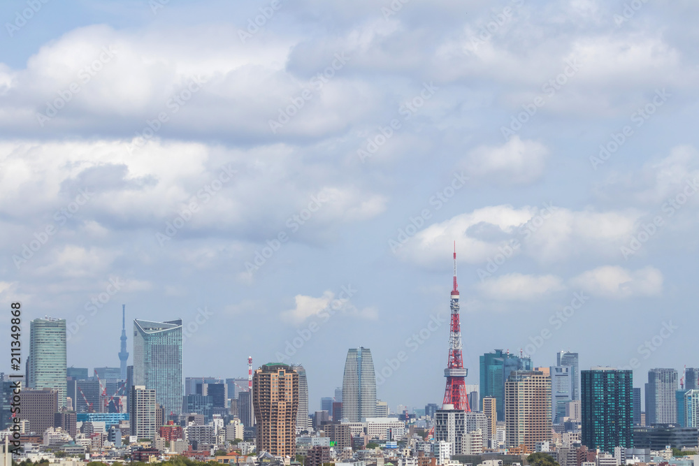 東京全景　panoramic view of the capital Tokyo