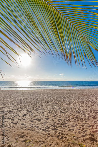 plage tropicale gorgée de soleil  © Unclesam
