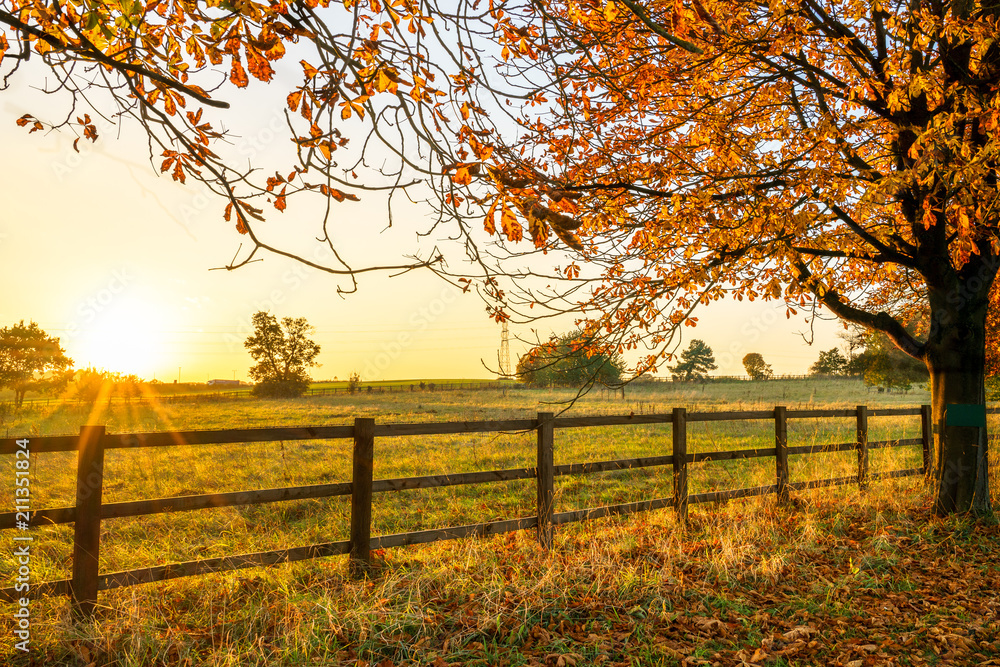 © Pawel Pajor - Sunset in autumn in England © Pawel Pajor - Sunset in autumn in England