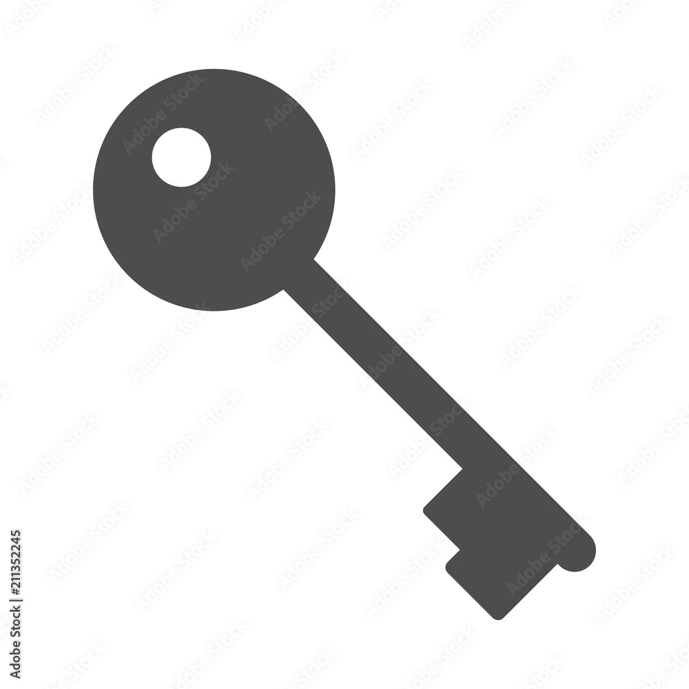 Key icon. Vector. Key icon. Vector.
