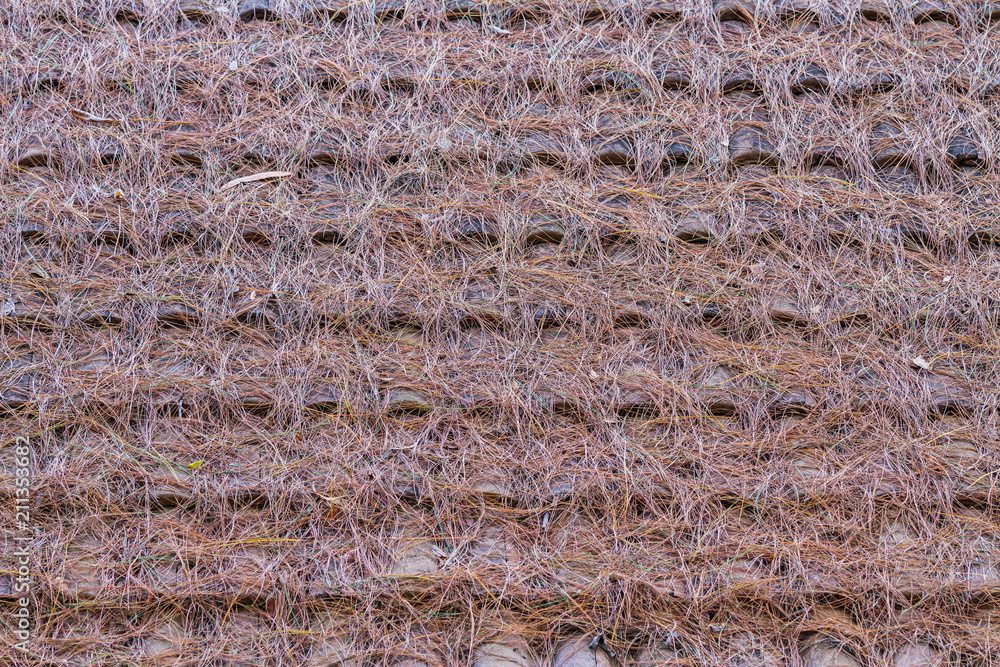 Roof tiles and pine background Roof tiles and pine background