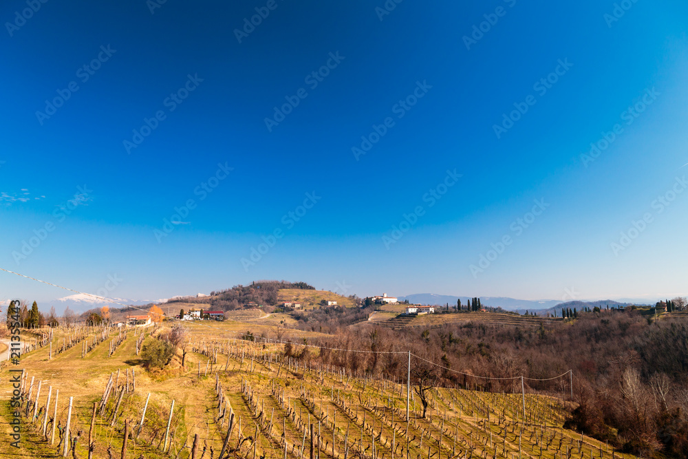 Fototapeta premium Winter morning in the vineyards of Collio, Italy